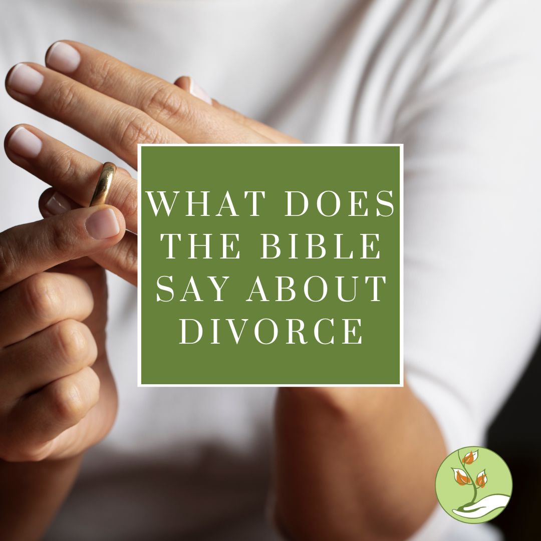 Empowering Christians To Intimate Partner Abuse